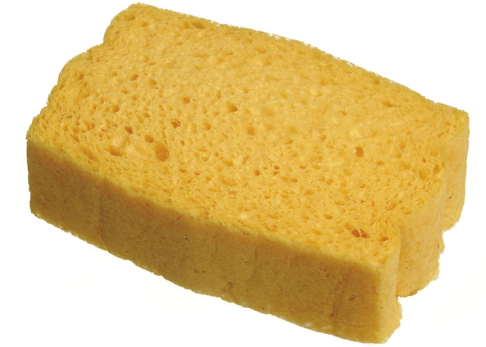 Compressed Sponges